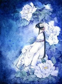 那個廚子是我老婆